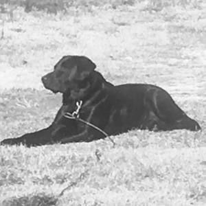 Meet your Posher, Vicki